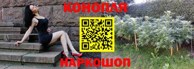 молекула духа Донецк