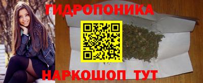 хмурый Дубна